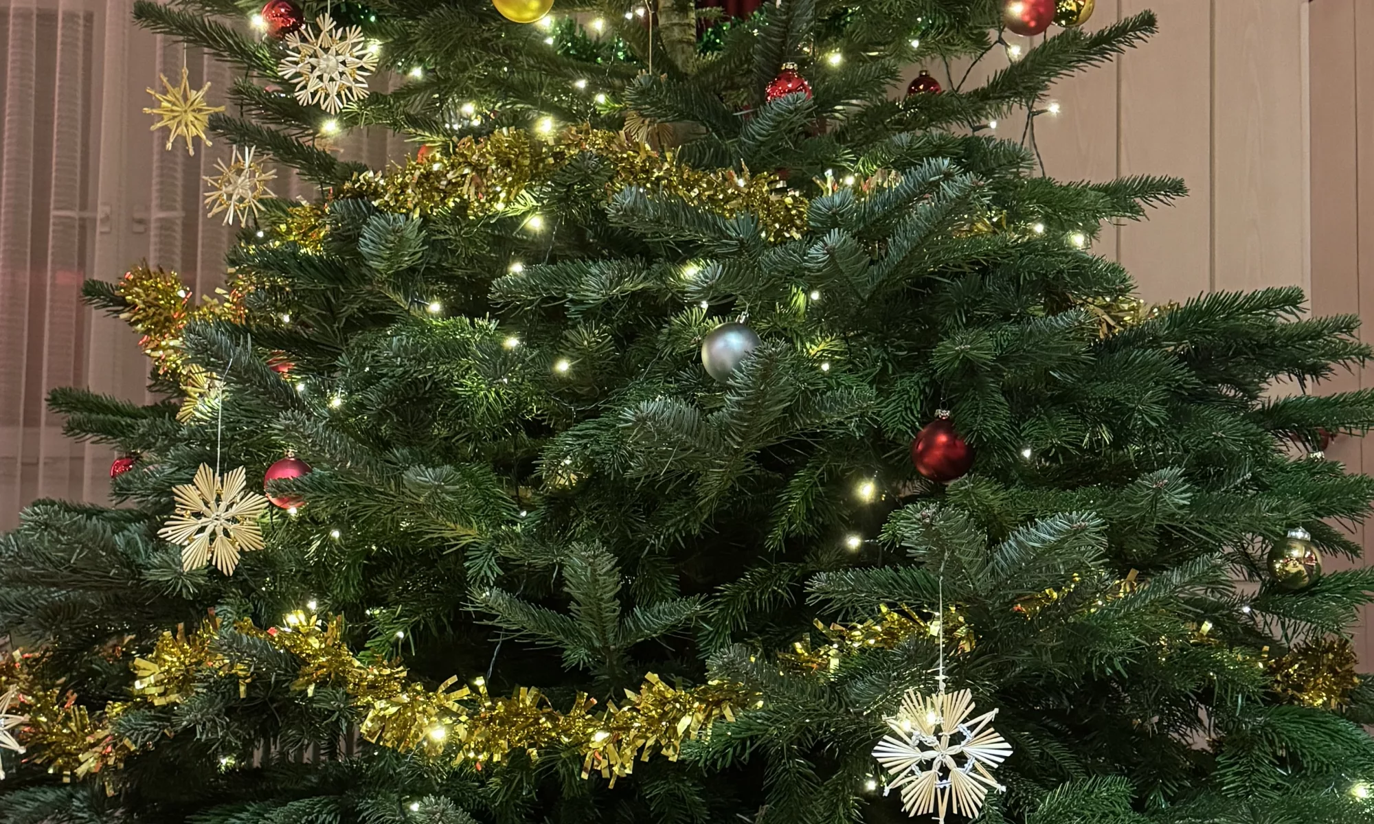 Tannenbaum in der Kulturwerkstatt